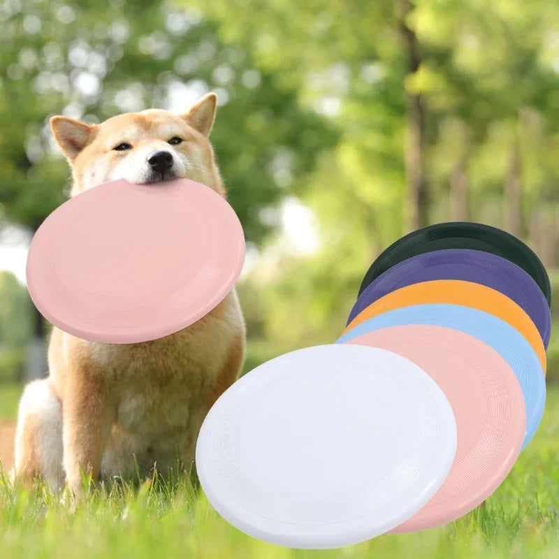 Flying Disk